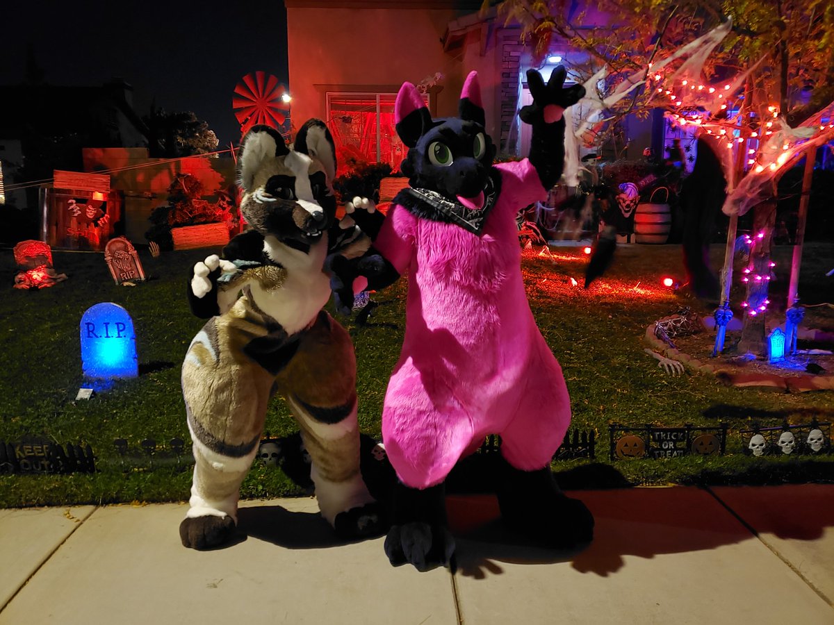 FoxtrotTrouble's tweet photo. Happy Halloween with @RabbitasaurIRL!!! https://t.co/yKIiGeGoB7