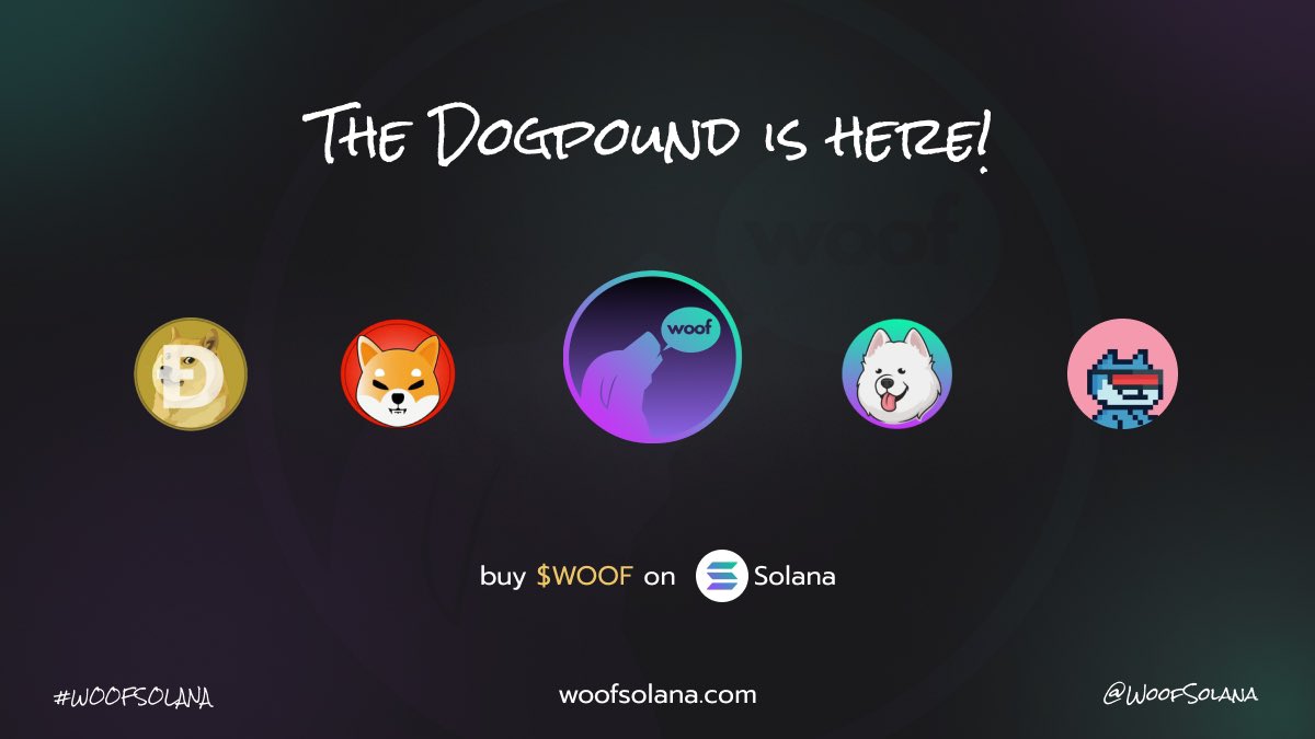 WoofSolana's tweet photo. Who’s your favorite?

#WOOF #WOOFSOLANA https://t.co/k0jNPZkbVK