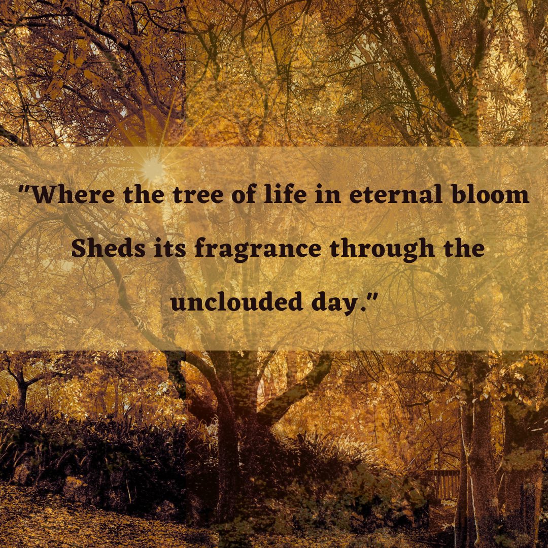 Rachel Hellwig tweet media