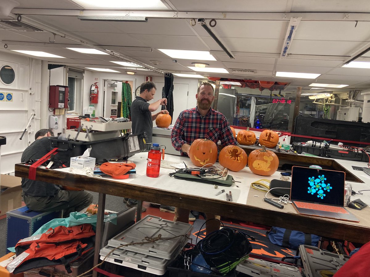 Katy Abbott tweet media