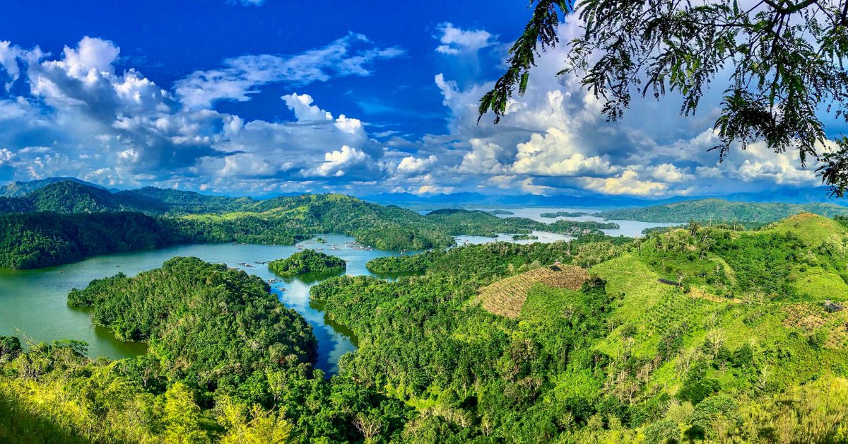 valeriejulliand's tweet photo. Sistem bagi hasil yg dikenal sbg Ecological Fiscal Transfer (EFT) membantu desa mengakses dana yang mereka butuhkan untuk berkembang sekaligus melindungi hutan.

Senang melihat @UNDPIndonesia &amp; mitra bekerja utk memperluas EFT ke jutaan komunitas hutan: https://t.co/i8KP3J4JsP https://t.co/6HD7o7B0RO
