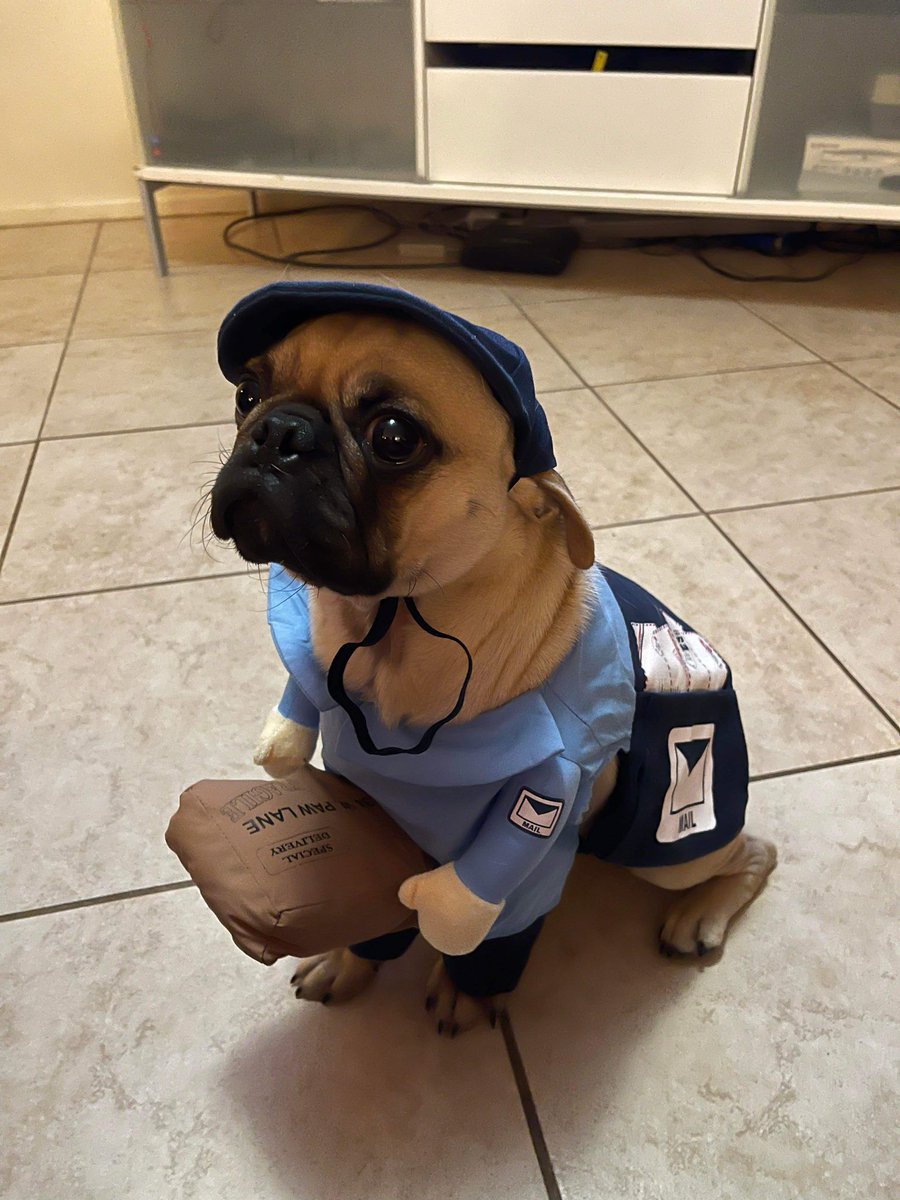 Happy Halloween!! Hope you had a barking good time! 
#UnionPup #UnionHousehold #Lettercarriers #SupportTheUSPS 

Image description: image of Gramsci the pug wearing a letter carrier costume with plush hands holding a package, a mail bag, postal uniform and a hat.