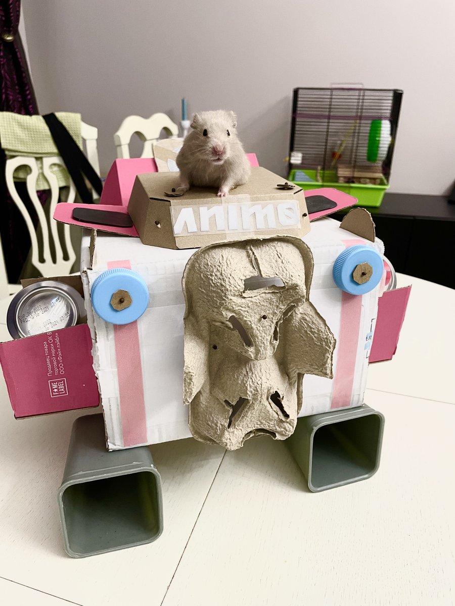 Happy Halloween guys! 
I spent this evening marathoning the "squid game" and making this mecha for my little pilot!
I couldn't get past such a super contest, you guys are really cool @AnimoNFT 

But no cooler than my hammie.😎🤜🤛🐭
#RecycledAnimo