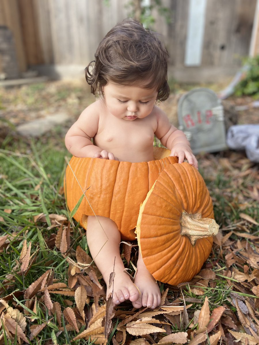 Alex03Marquez's tweet photo. My pumpkins first Halloween 🎃🖤 https://t.co/QdwPcUJeW2