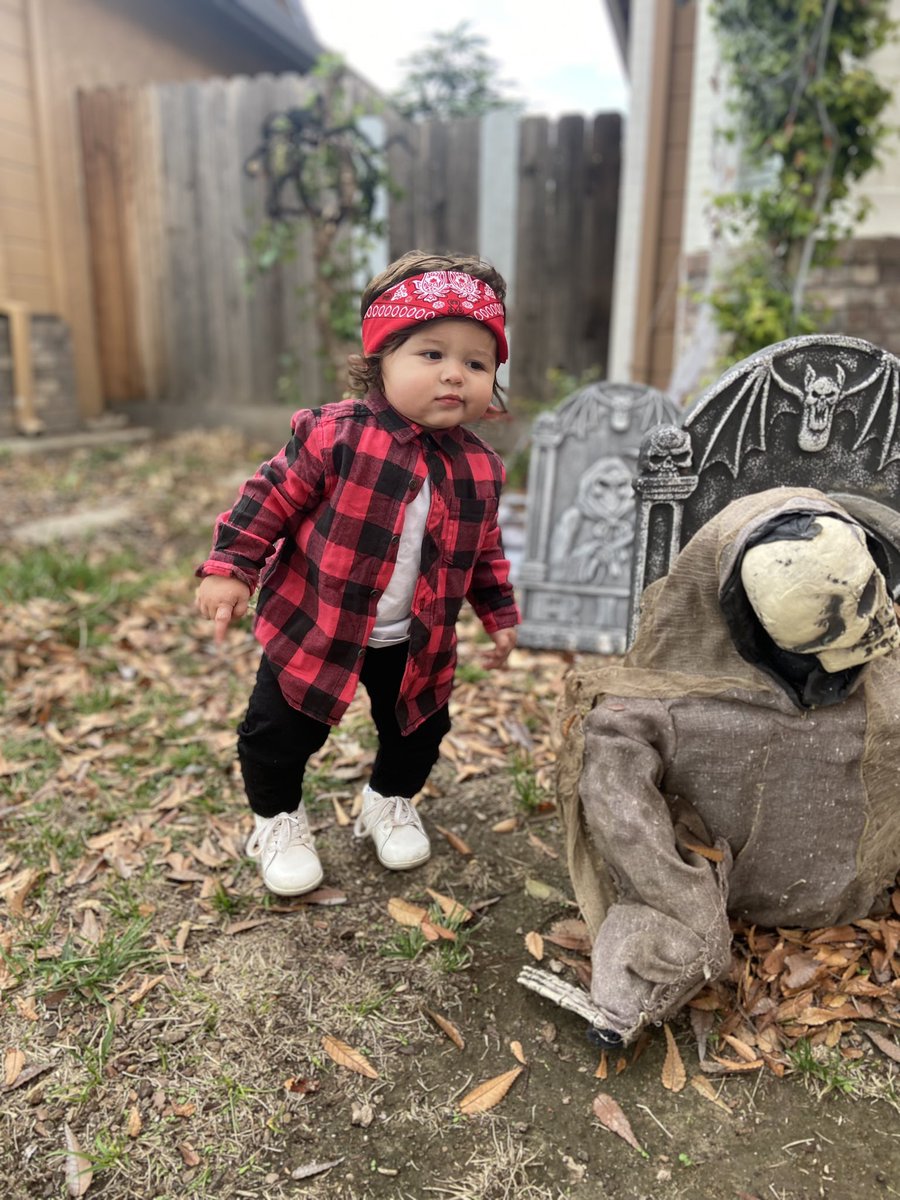 Alex03Marquez's tweet photo. My pumpkins first Halloween 🎃🖤 https://t.co/QdwPcUJeW2