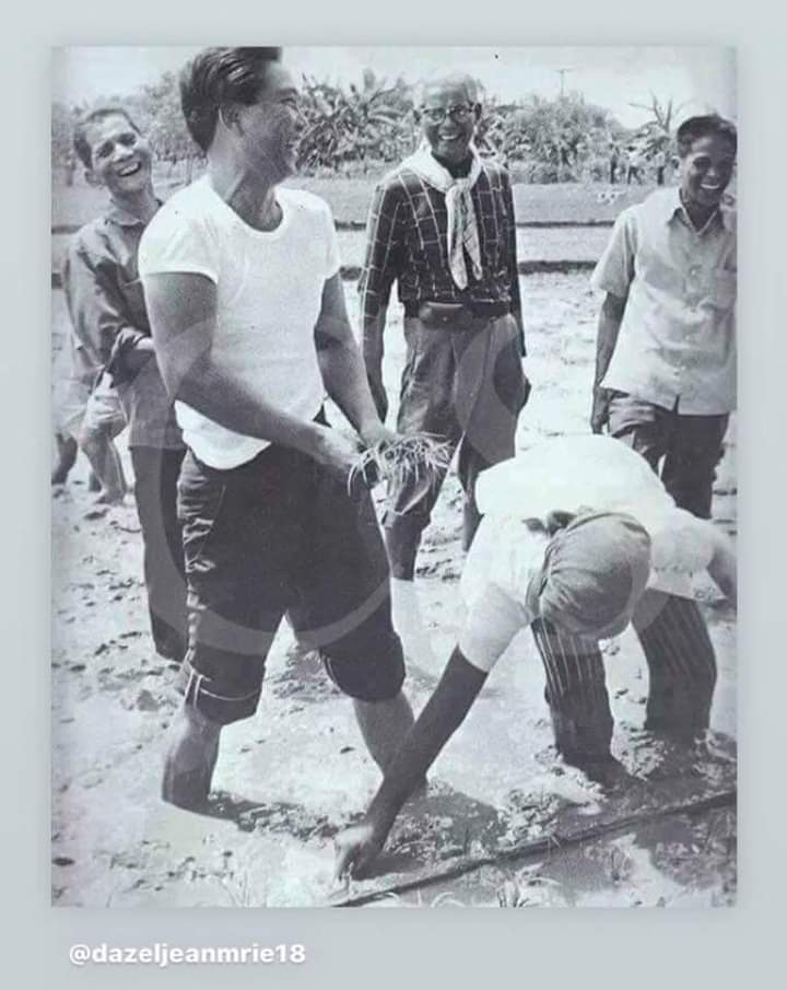 milkyway1969's tweet photo. Si Pangulong Ferdinand E. Marcos ay ang tanging pangulong may pagpapahalaga at pagmamahal sa mga magsasaka. Sa panahon ng kanyang panunungkulan, itinuring na Golden Age of Agriculture sa bansa. 🇵🇭
#IRRI #Masagana99 #BiyayangDagat #GreenRevolution
#BringBackMarcos
#BBMSigawNgBayan https://t.co/6sbHaG3UAP