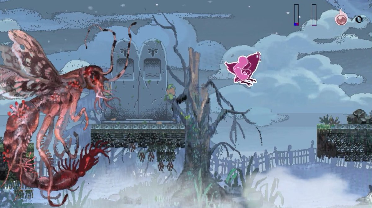 Teddy Gainz tweet media