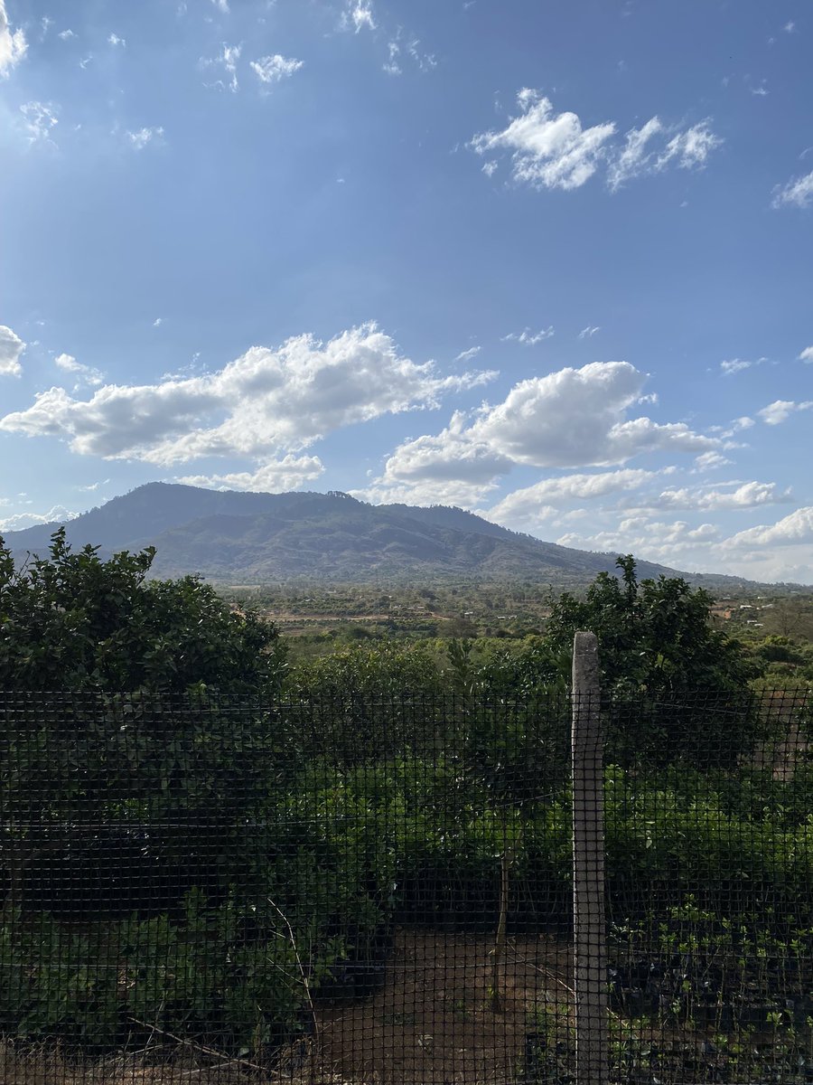 iamcalvinbrown's tweet photo. I visited a farm in Kenya as part of a new business venture & it reminded me of the wineries in Temecula, CA. #nature #softwarekang https://t.co/m7NxETXTKK