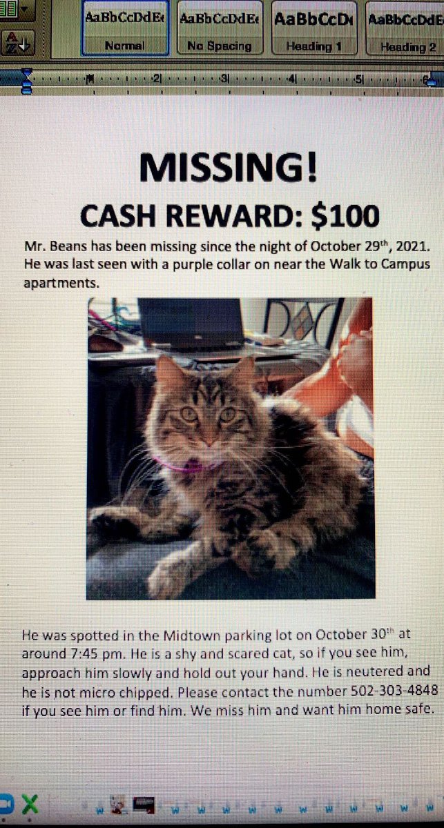 tlj_8008's tweet photo. my cat is missing in the bowling green area around walk to campus apartments and was last seen at 7:45 pm in the midtown parking lot. please, if anyone sees him contact me immediately. https://t.co/nLWfaKrYBy