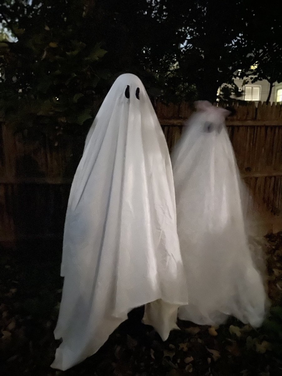 BillyS520's tweet photo. “you look like you’ve seen a ghost…” https://t.co/3z7GJfopOC