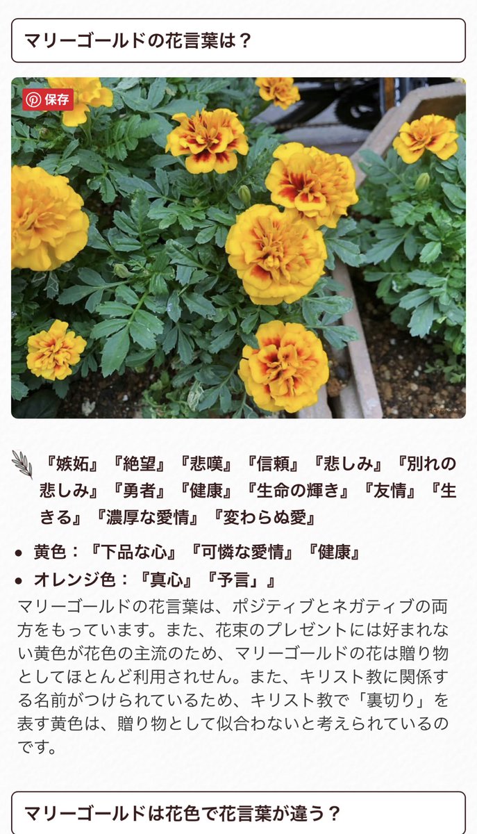 くろ はすき 五輪フィギュアでも限界化はば学jk マリーゴールドの花言葉重すぎてわろた オレンジの花言葉は前向きだよ と添えてあったけど 予言 が風真くんの願い事に絡んでると想像するとこれまた激重すぎて草 T Co Vincqnxjyo Twitter くろ はすき 五輪フィギュアでも限界化はば学jk マリーゴールドの花言葉重すぎてわろた オレンジの花言葉は前向きだよ と添えてあったけど 予言 が風真くんの願い事に絡んでると想像するとこれまた激重すぎて草 T Co Vincqnxjyo Twitter