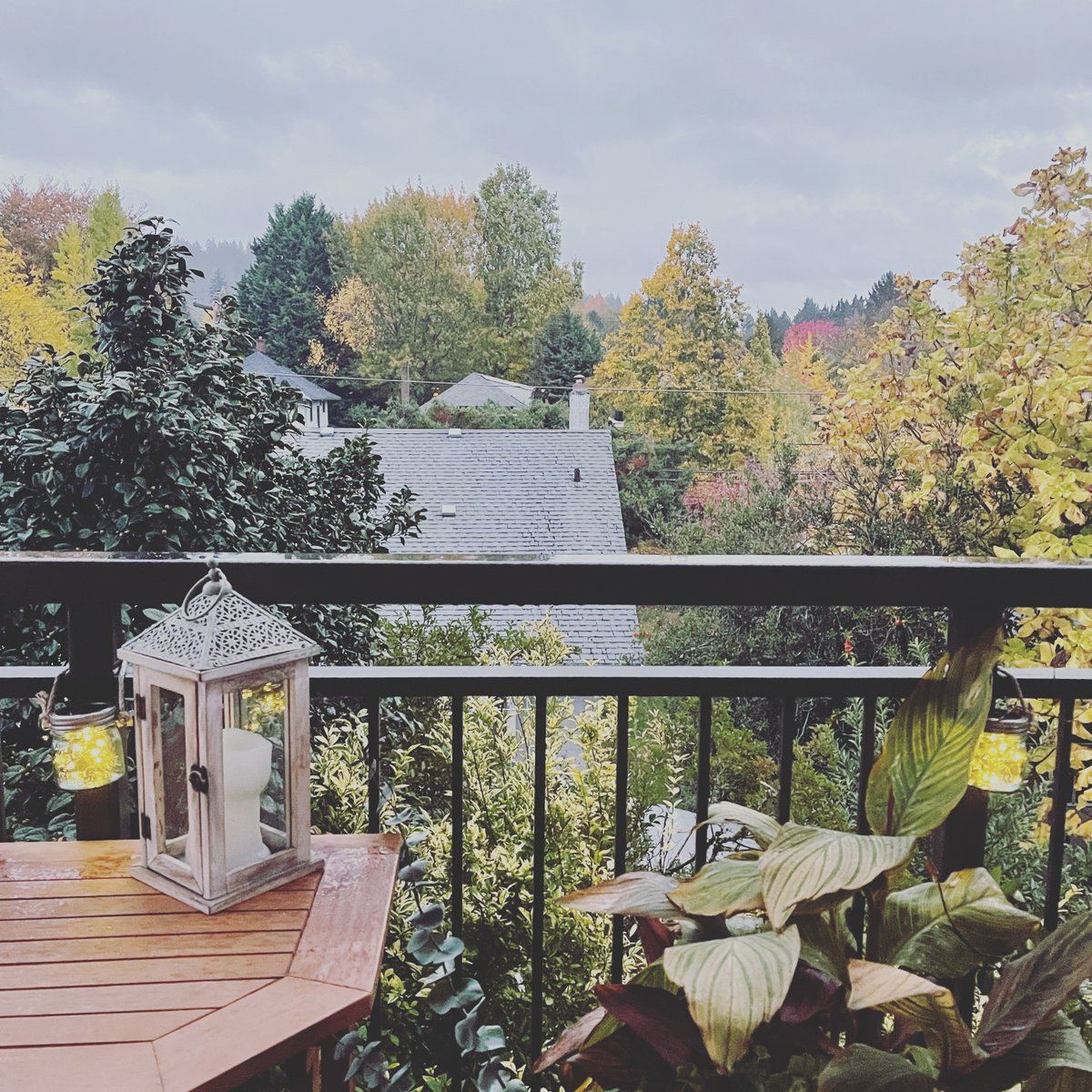 EthicalAbode's tweet photo. Lanterns lighting up at sunset 🥰🌱
#ethicalabode #autumnsunset #sunset #autumn #autumnvibes #nature #sunsets #sunsetphotography #sky #ig #captures #landscape #autumncolors #fall #naturephotography #pics #sunsetlover #autumnsun #photography #of #love #autumnleaves #summer https://t.co/IkWHZ1KWna