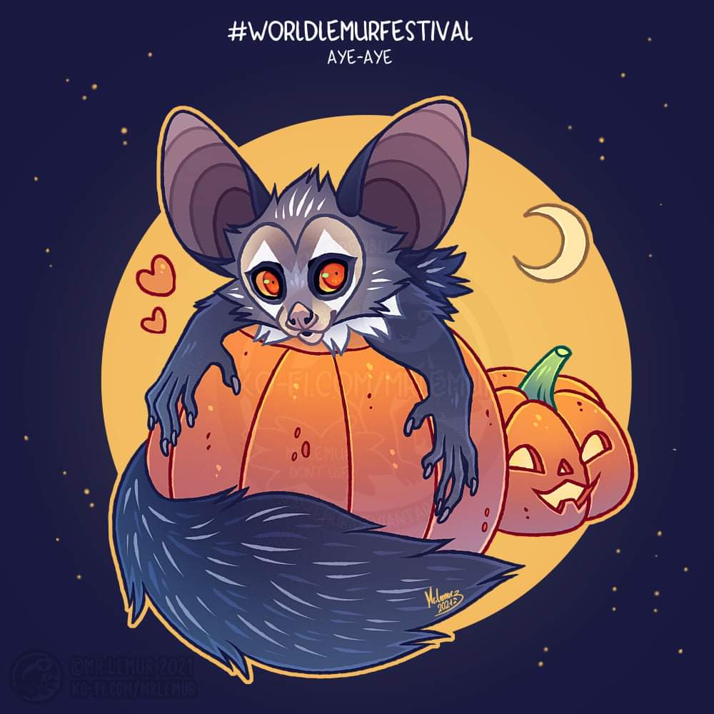 Aye_Aye_Conserv's tweet photo. Piece by Mr Lemur #WorldLemurFestival
One of the most misunderstood animals. The species is victim of superstitions and are generally considered bad omens, killed on sight and hung up so that the "malefic spirit" be carried away by travelers.

Happy World Lemur Festival 2021 https://t.co/Tl0iN9Xf1A