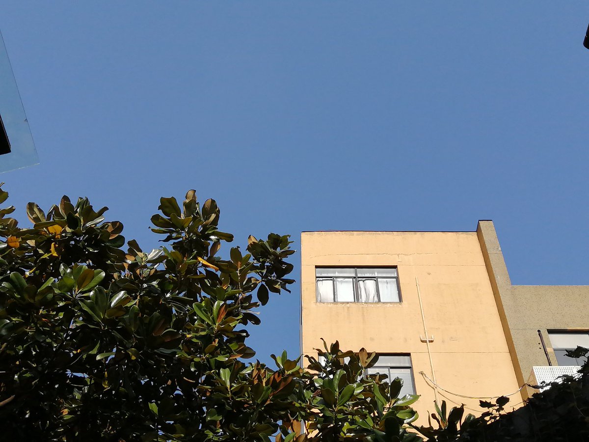 dm_suby's tweet image. 为啥感觉每周如果学习时间越久😣等到周末脑子里的黄色废料就越多

#男m #女s #踩踏 #恋足 #踩射 #鞋底 #上海 #调教 #现实 #女王 #踢裆 #乘骑 #舔鞋 #狗奴