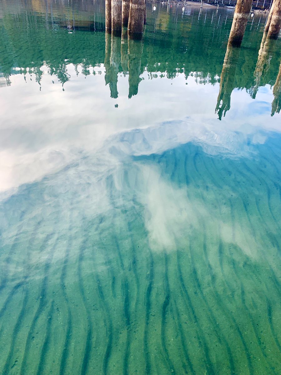 Kelly Loria (@kellyaloria) on Twitter photo Really excited to start modeling near shore productivity in Lake Tahoe with <a href="/jrblasz/">Joanna Blaszczak</a>. Here are some moments from Nevada Day dives last Friday! Really excited to start modeling near shore productivity in Lake Tahoe with <a href="/jrblasz/">Joanna Blaszczak</a>. Here are some moments from Nevada Day dives last Friday!
