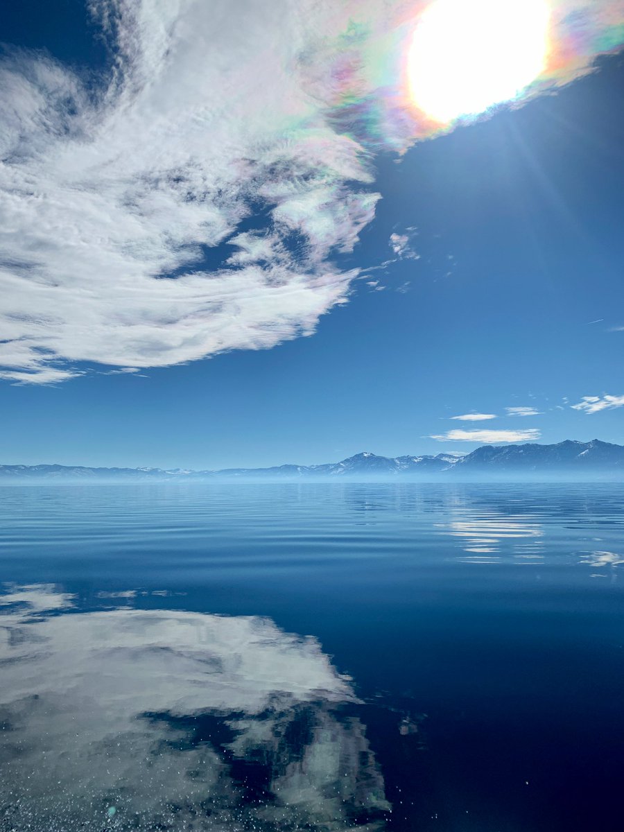 Kelly Loria tweet media