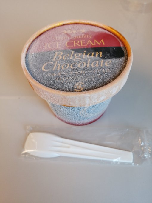 せっかくなのでシンカンセン・スゴイカタイ・アイス買った。 