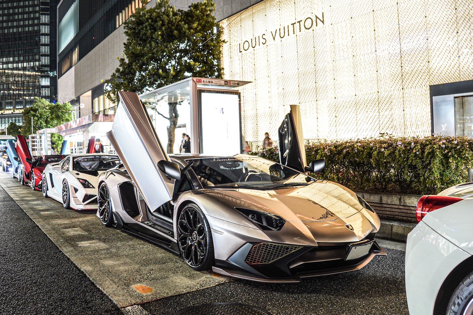 在庫限りッ アウトレット ポイント１０倍 夜桜 よざくら 幅54 5 高さ約190cm 清水玄澄 しみずげんすい 季節飾り 花鳥画 春掛け 掛け軸 掛軸 決算特価 送料無料 Www Themindfulhearts Com