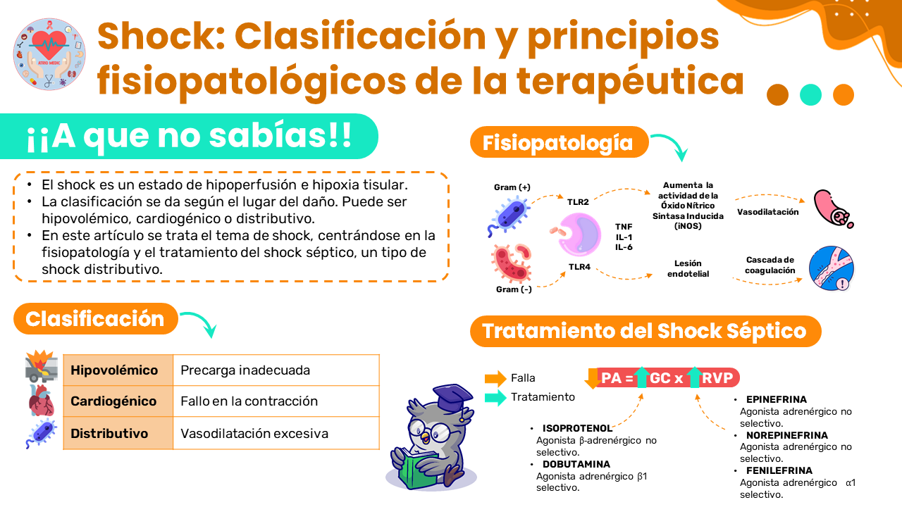 Fisiopatología Del Shock Hipovolémico