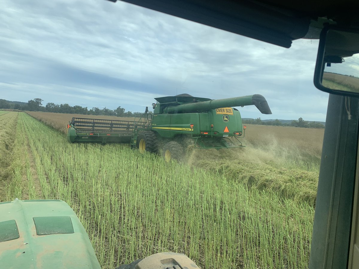 Andrew Watson tweet media