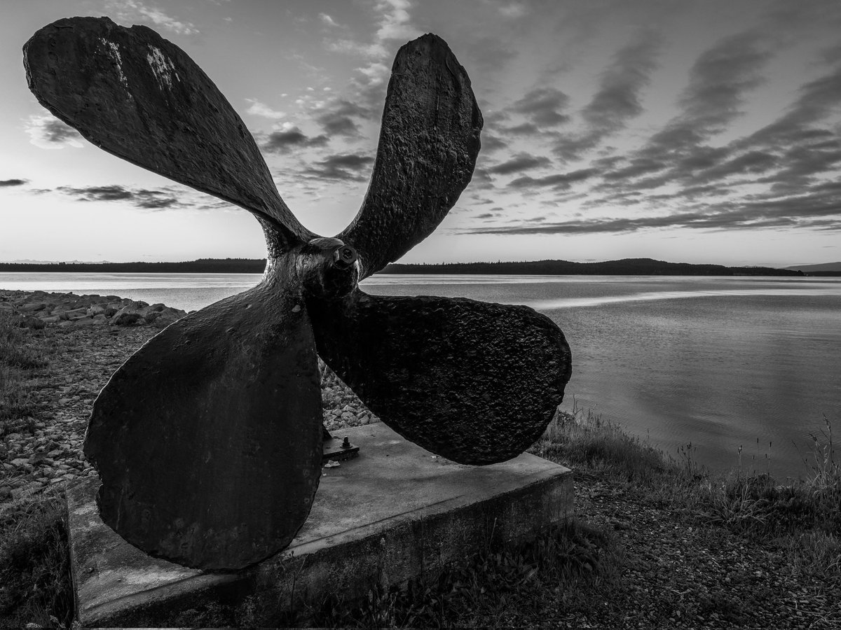 olsson182's tweet photo. Well, we survived Halloween. Good night everyone! #goodnight #GoodNightTwitterWorld #Goodnighteveryone #unionbaybc #blackandwhite #blackandwhitephotography @getolympus https://t.co/LMGbjYUWWe