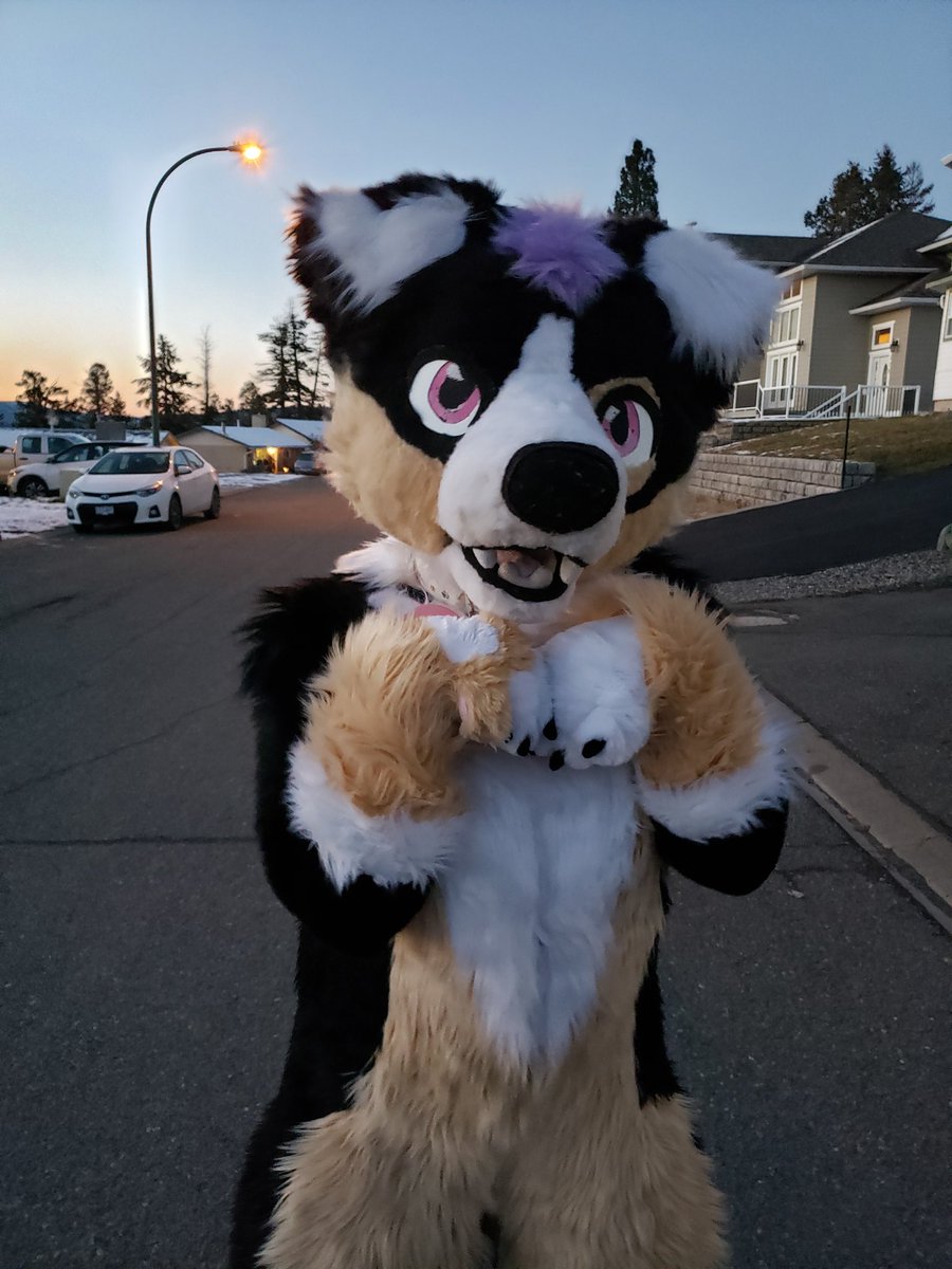 Harley_Doggo's tweet photo. Bark or treat!
🎃 https://t.co/15WWRxJSV3