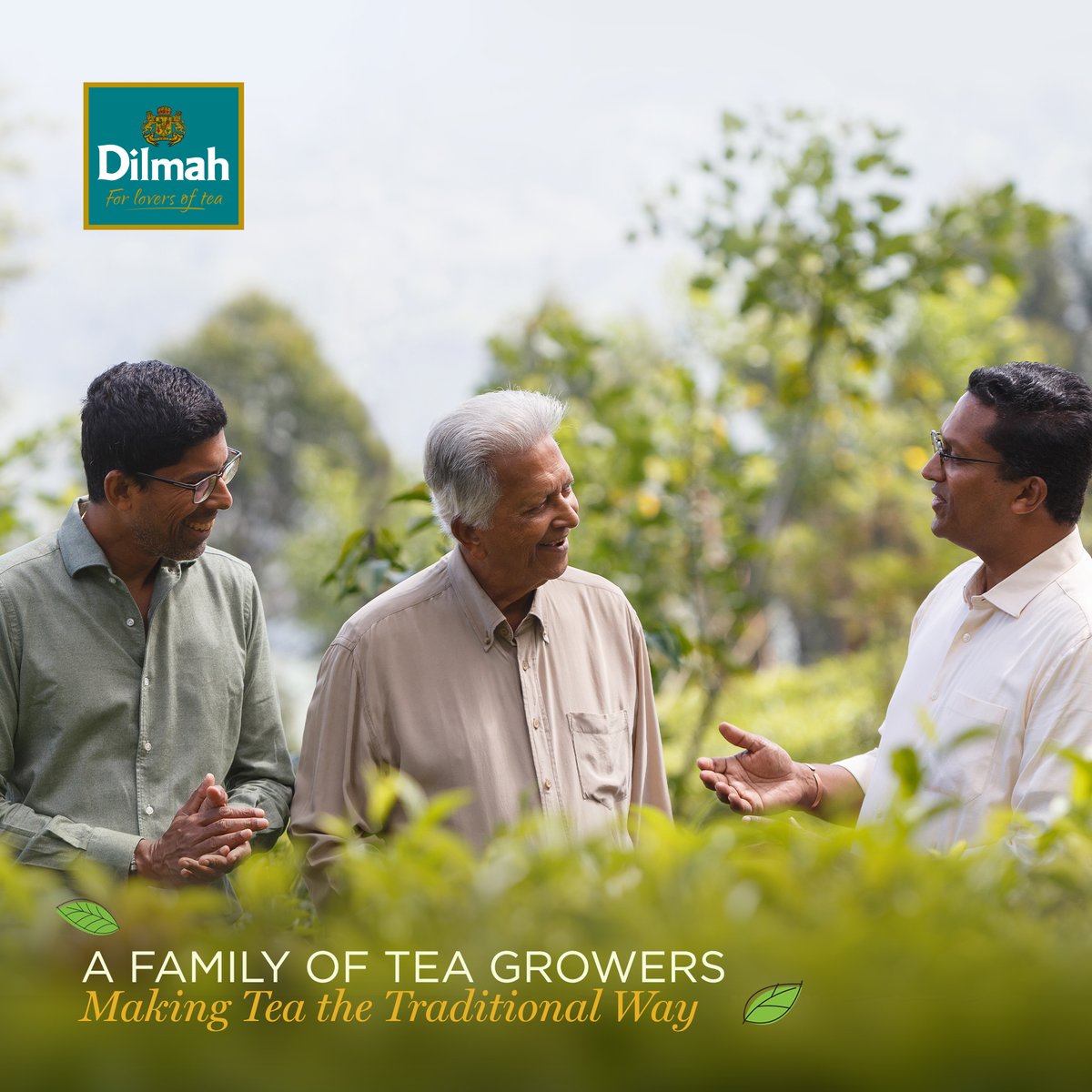 We are a family of #TeaGrowers, so the way we make #CeylonTea - the original &amp; harder way - is personal to us. We handpick our #tea while respecting #nature, respecting the people that care for your tea… &amp; respecting you - the #teadrinker reading this. 

mjffoundation.org