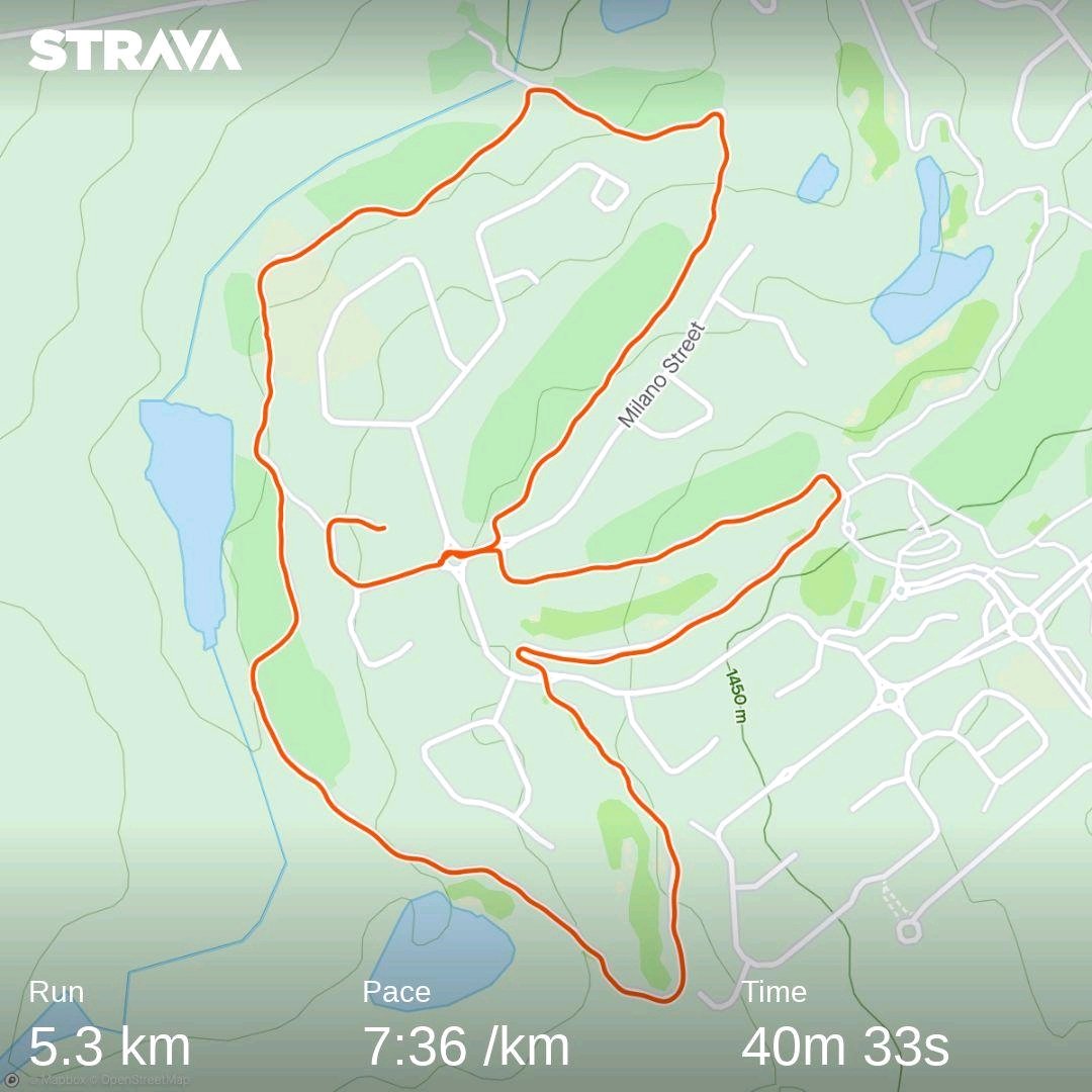 ngezee_'s tweet photo. Tough one today but we showed up
#ElectionDayRun
#FetchYourBody2021
#RunningwithTumiSole
#RunwithTbag4Charity https://t.co/1UcKU0rbGG