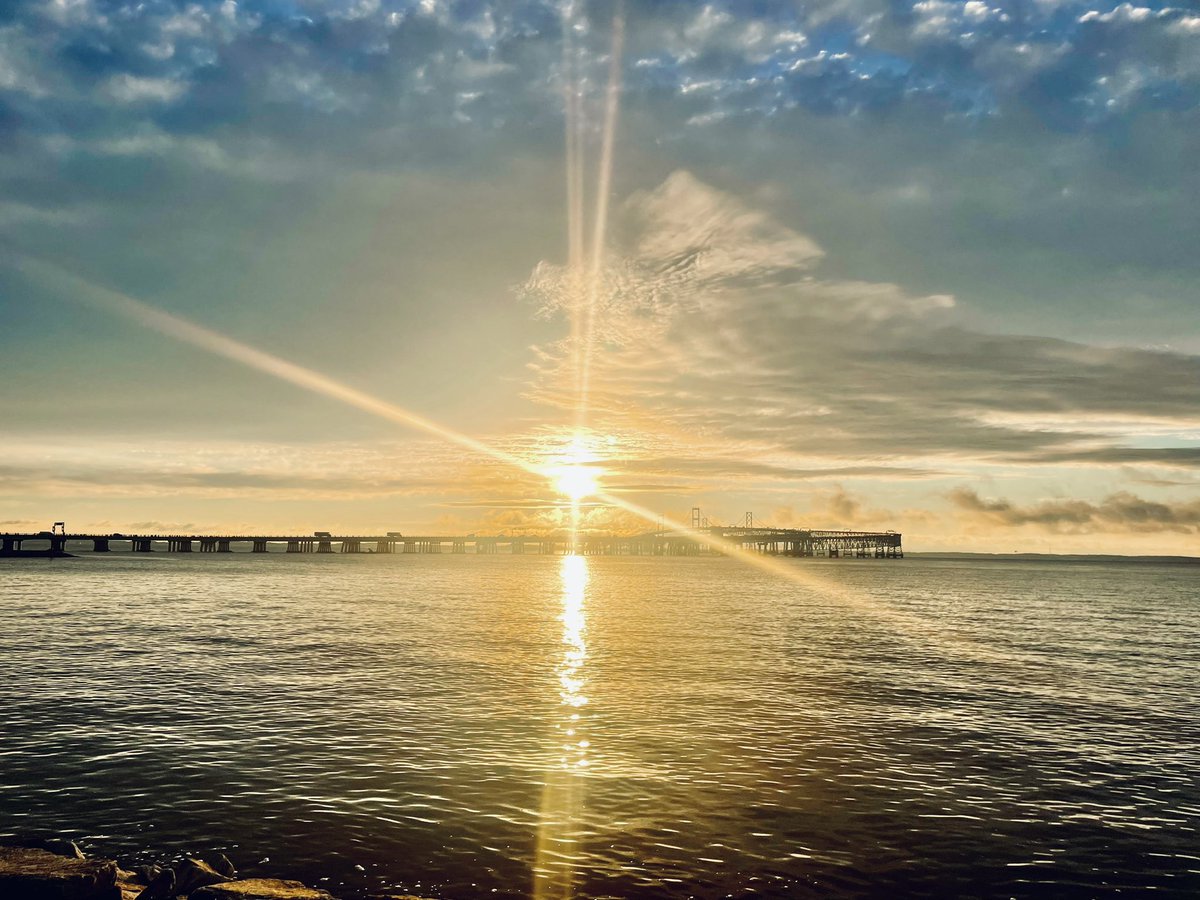 FCPSMDWellness's tweet photo. Beautiful morning for our @FCPSMaryland team participating at The Bay Bridge Run! #FCPSRunForWellness #FCPSWellness https://t.co/np1R2kY3TQ