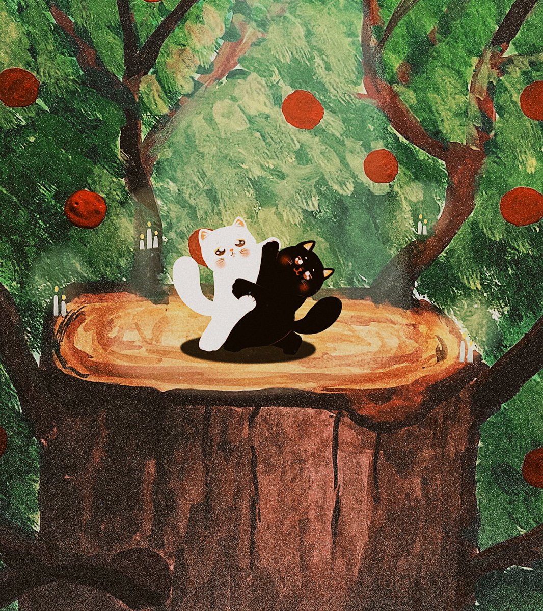 wonnchann's tweet photo. Keep meow-ving like no one is watching. https://t.co/KvYvc0s1qG