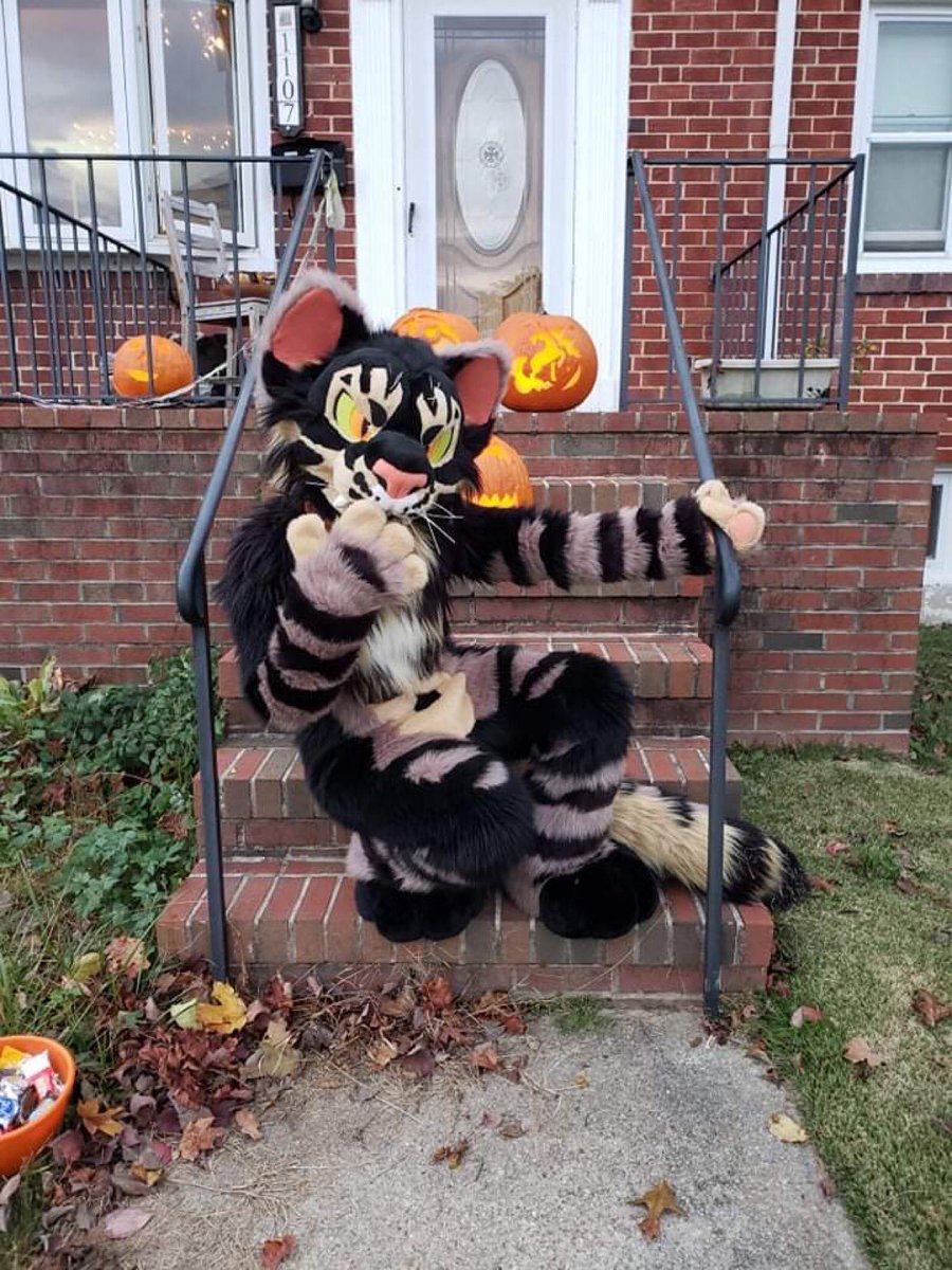 SCORNcat's tweet photo. Felt sassy. Won’t delete later. 👻 https://t.co/DMuswigqE4