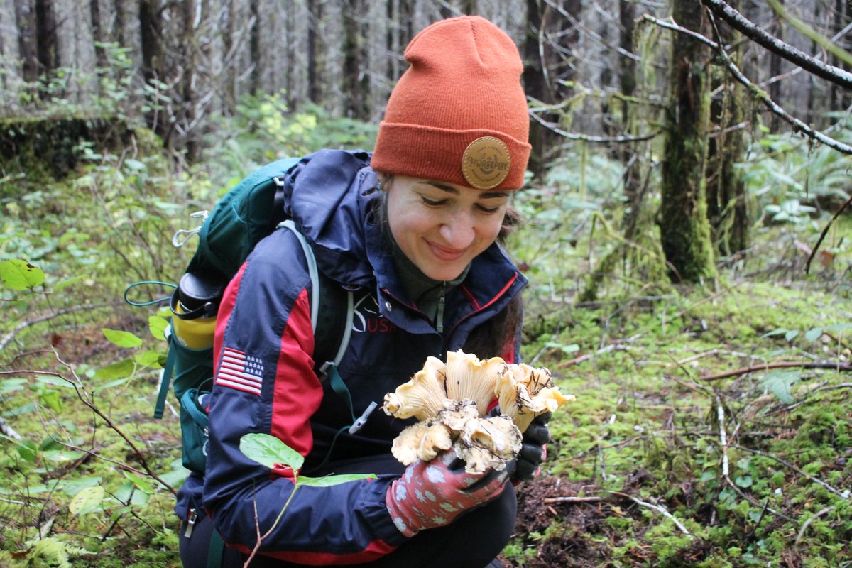 osu_bpp_grads's tweet photo. The BPP grads had a wonderful and very successful fungal foray this weekend. Not only did we find several choice edibles, but also we found some pretty spooky fungi. S/O to our fearless foray leader @teddyborland. https://t.co/3LGGCx6naB