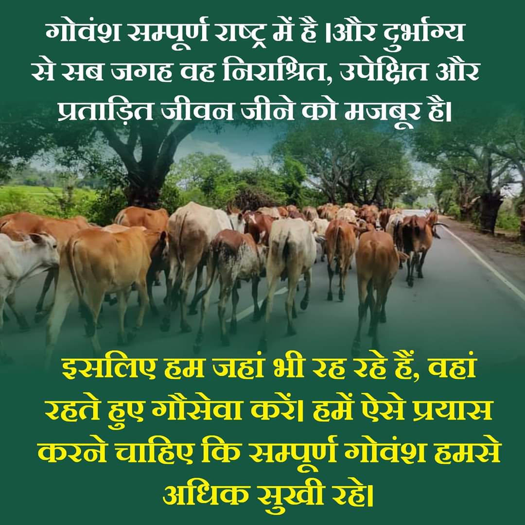 dayodaymandla's tweet photo. हमें ऐसे प्रयास करने चाहिए कि सम्पूर्ण गोवंश हमसे अधिक सुखी रहे। https://t.co/2PzaDaGr0O