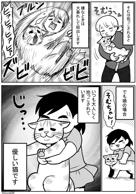 やさし猫そむ #タレ目猫そむ #タレ目猫そむが可愛すぎるんじゃ 