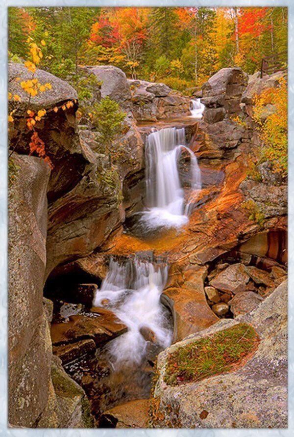 Kat06115489's tweet photo. Happy November everyone🍁🍁🍁❤️🍁🍁🍁 https://t.co/HgkQEAzt5y