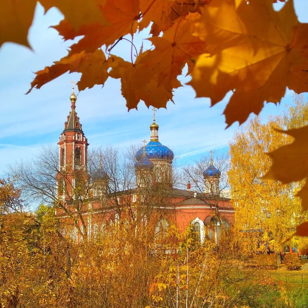 Kat06115489's tweet photo. Happy November everyone🍁🍁🍁❤️🍁🍁🍁 https://t.co/HgkQEAzt5y