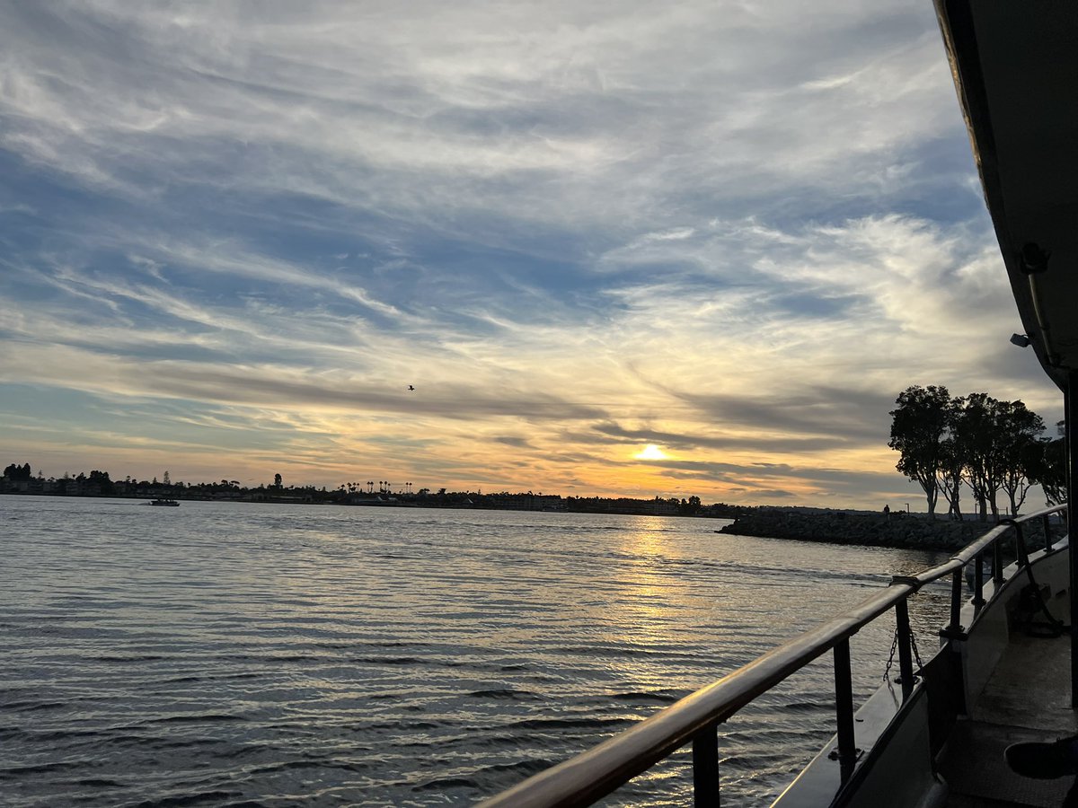 Jonathan Hron tweet media