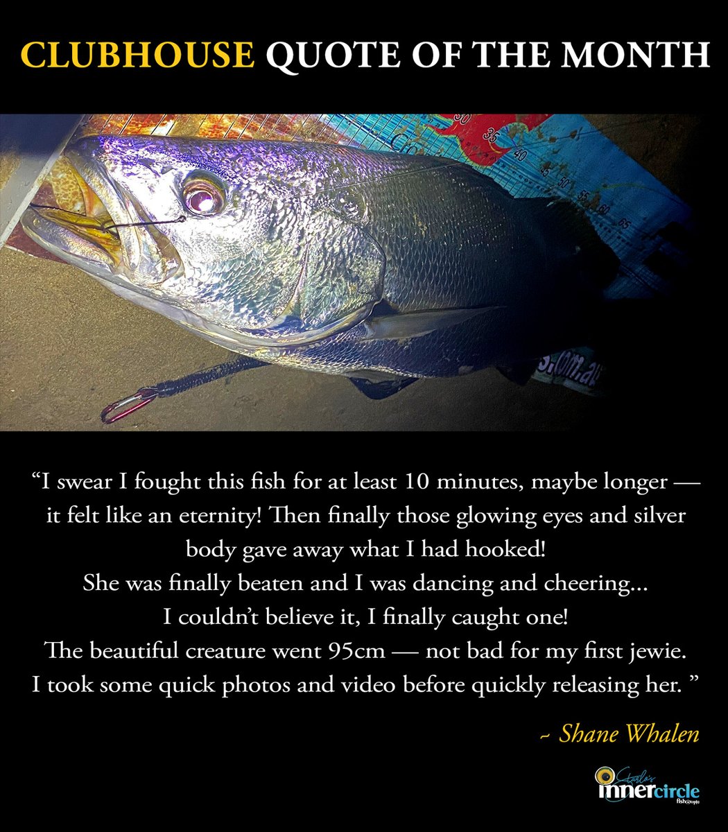 fishotopia's tweet photo. "Build a bridge &amp; fish under it!" 🤣In this month's Fishotopian, we explore some of the battle lines drawn around fishing, as well as the olive branches it offers. War And Peace! - https://t.co/bYwjwllGaY https://t.co/e0KKL6q0GQ