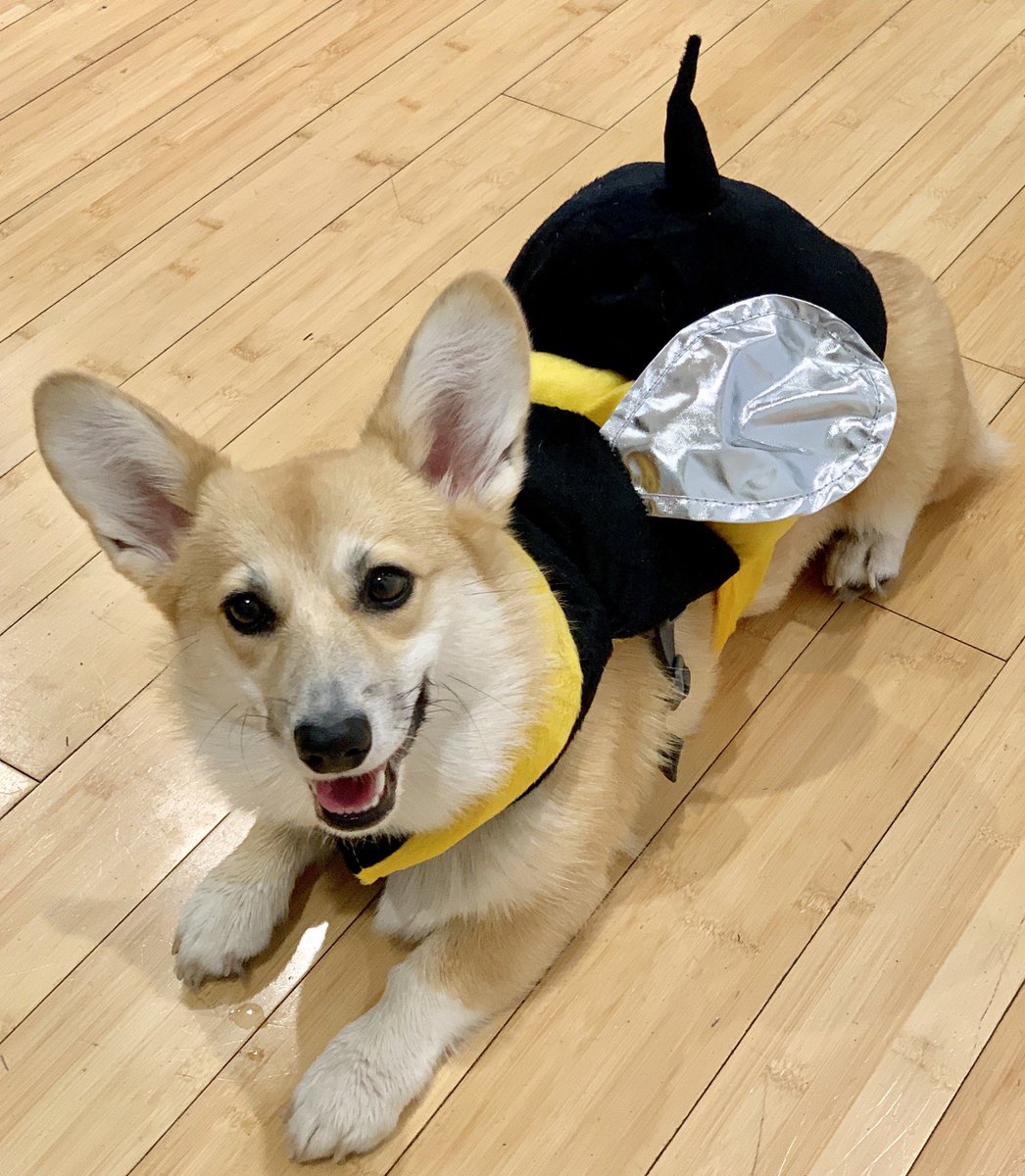 Kevin Simmons tweet media