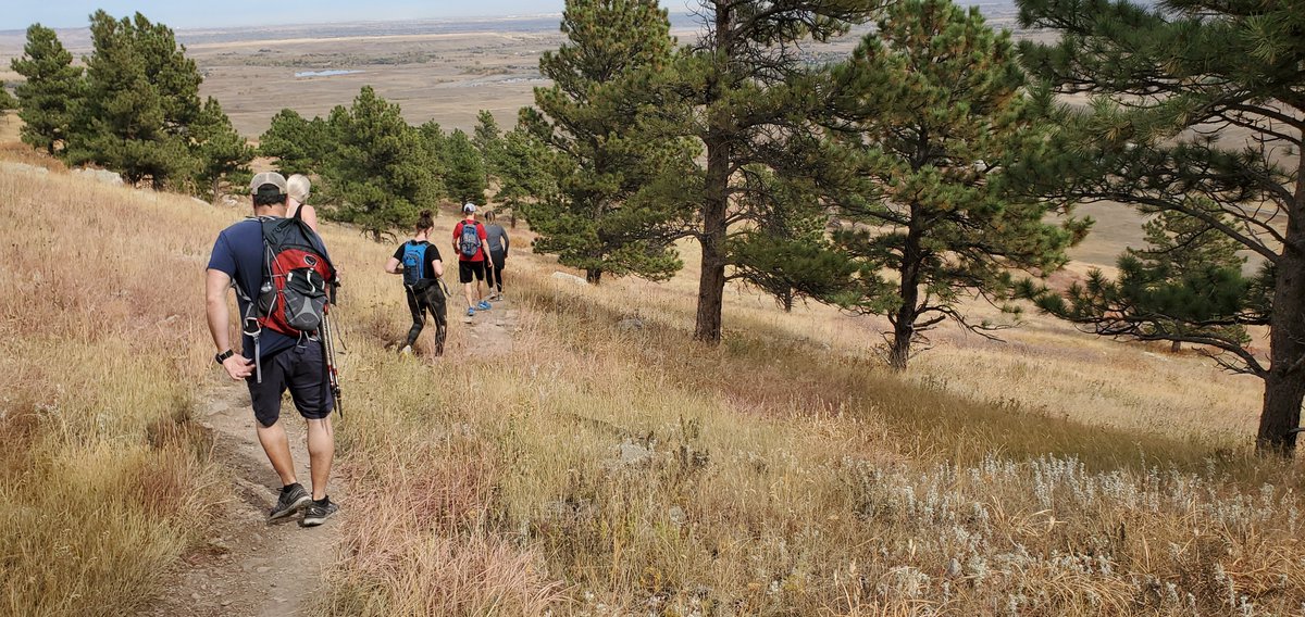 Robert C G tweet media