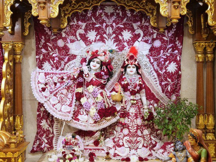 iskconlondon's tweet photo. Today's Deity darshan in Lotus &amp; Swans outfit #krishna #radharani #radhakrishna #girigovardhan #gauranitai #jagannath #baladev #subhadra #srilaprabhupada #deities https://t.co/RSu7utEISd