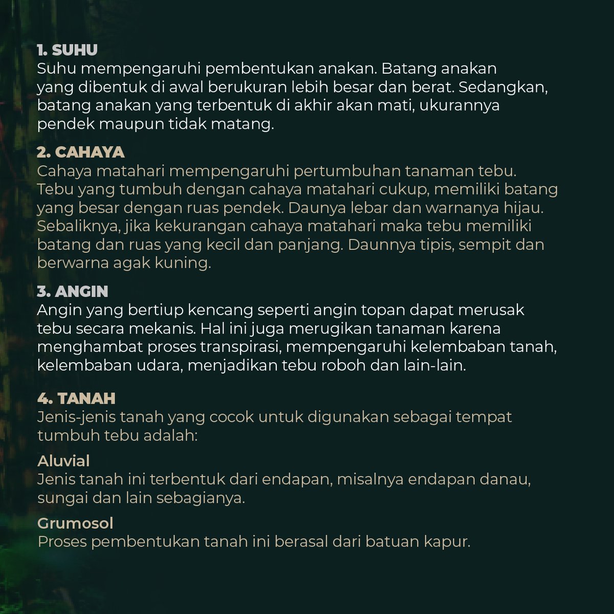 _kangkebon's tweet photo. Ada beberapa faktor penentu pertumbuhan tebu agar tumbuh baik nih guys, yuk mari kita simak☺🌱

#tebu #indonesia #perkebunan #pertanian #komoditasperkebunan https://t.co/L6nN290256