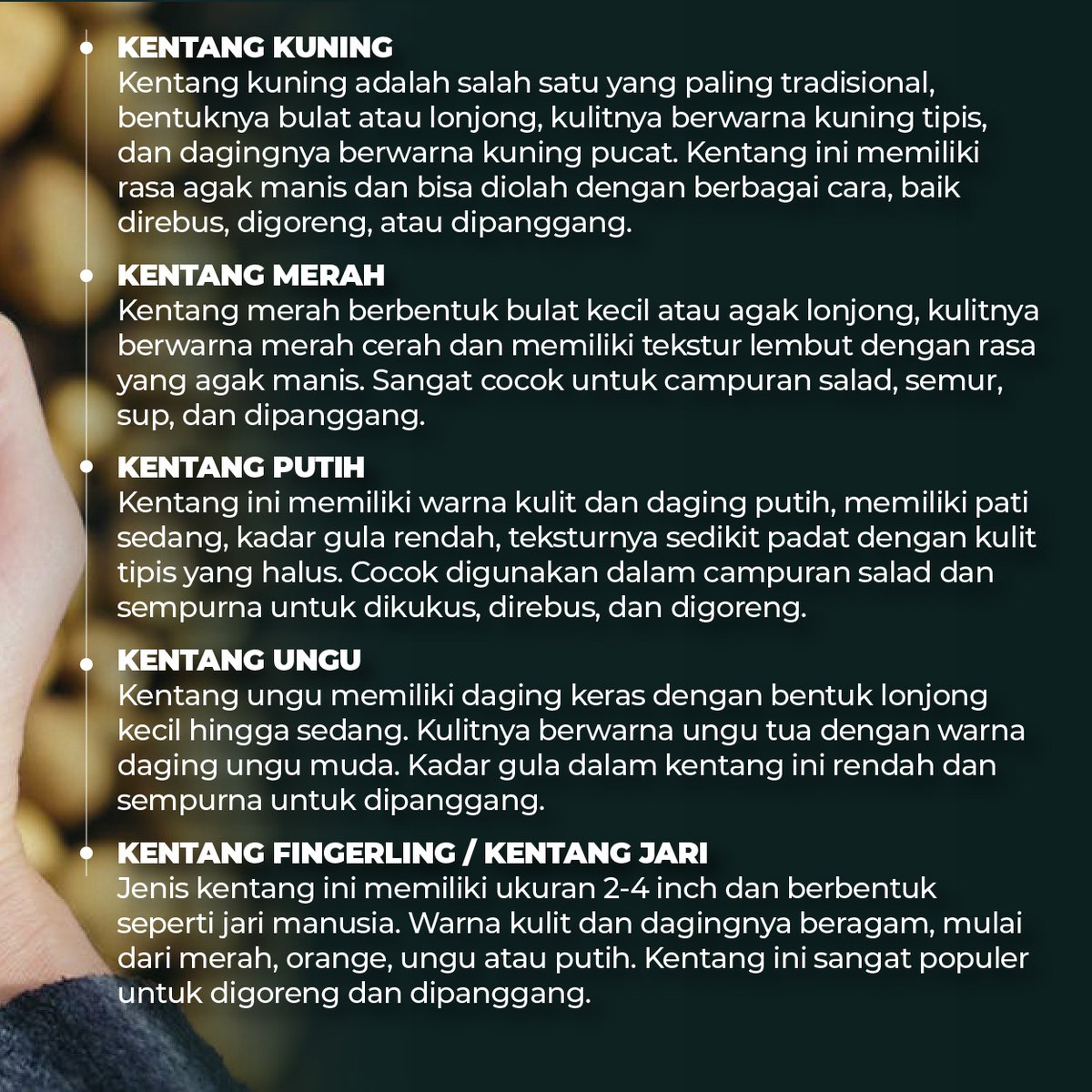 _kangkebon's tweet photo. Kentang adalah makanan keempat yang paling banyak diproduksi di dunia, setelah jagung, gandum, dan beras. 

Tapi, Sobat Kang Kebon tahu ngga nih kalau jenis kentang itu ternyata banyak lho!

#kentang #indonesia #pertanian #perkebunan https://t.co/lhFe3vgumF