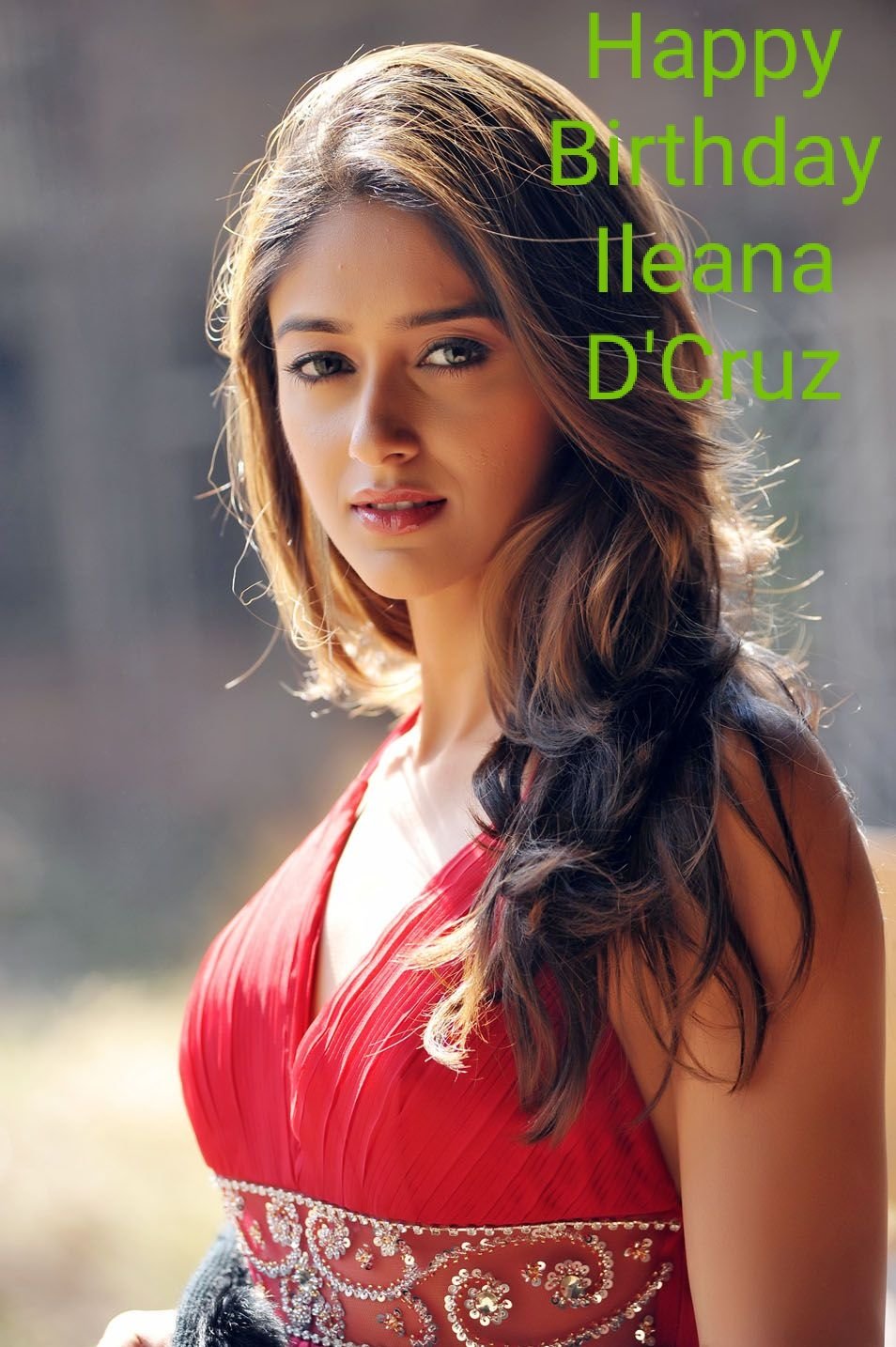 Happy Birthday To You Ileana D\Cruz Ji . 