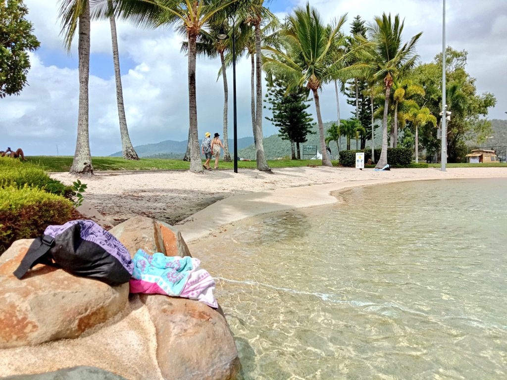 Poppy_MindDogAU's tweet photo. Pop on a rock...happy as 😃
A lifeguard DID come &amp; Q us, but it was quickly explained...
NO thanks to the #Whitsundays Council whom I'd emailed out of courtesy 😏 #AssistanceDogs #Travel
#AccessAllAreas
#RockClub #InTheSwim #AirlieBeach #BTPosse #PoppysHolibobs #HappyDogs https://t.co/PZn4yhu9wM