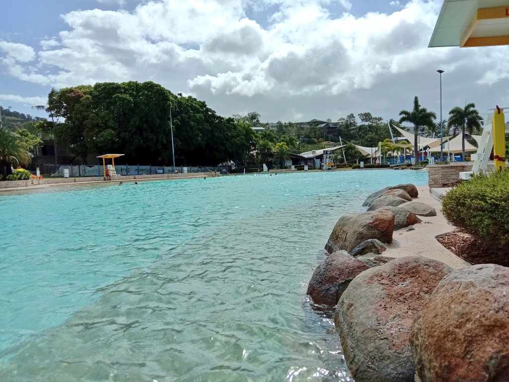 Poppy_MindDogAU's tweet photo. Pop on a rock...happy as 😃
A lifeguard DID come &amp; Q us, but it was quickly explained...
NO thanks to the #Whitsundays Council whom I'd emailed out of courtesy 😏 #AssistanceDogs #Travel
#AccessAllAreas
#RockClub #InTheSwim #AirlieBeach #BTPosse #PoppysHolibobs #HappyDogs https://t.co/PZn4yhu9wM