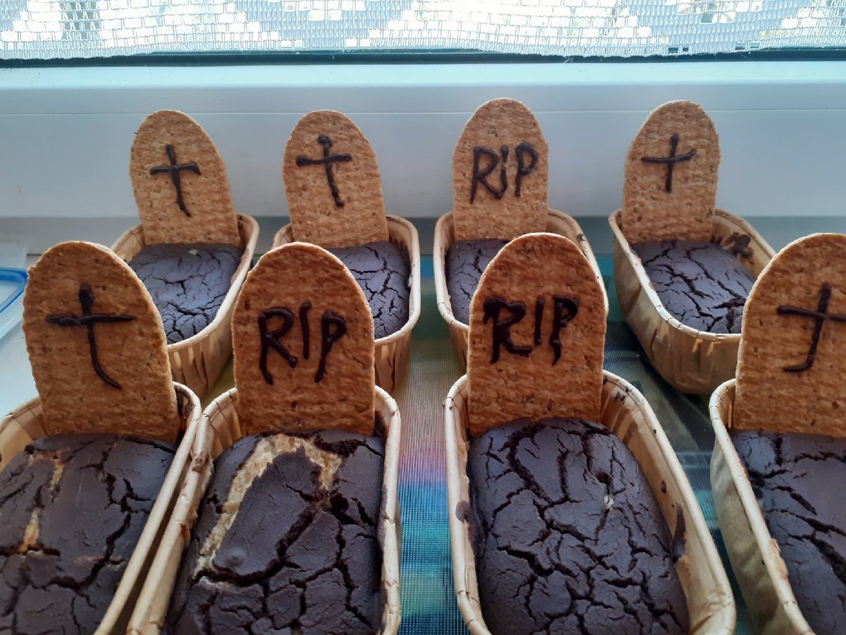 Плесень (@daryashryoding) on Twitter photo 