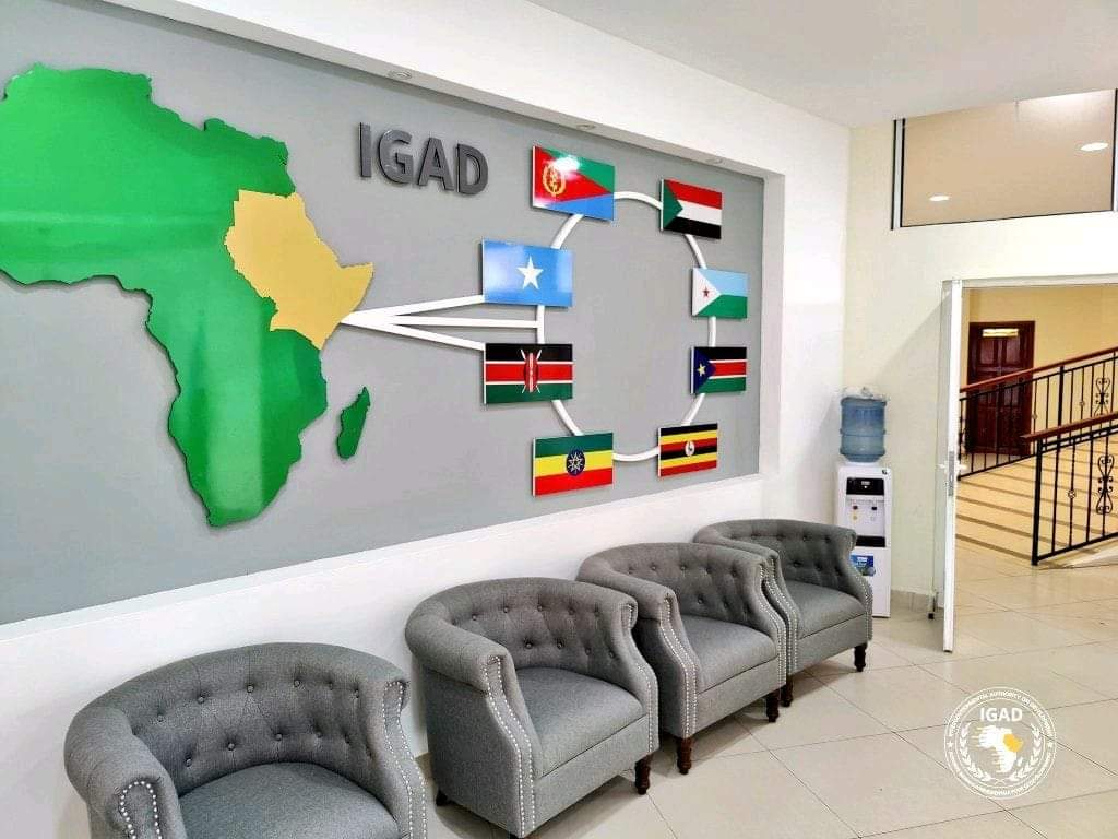 HibakMahamed2's tweet photo. #Africanation https://t.co/2oW4rDZj5p