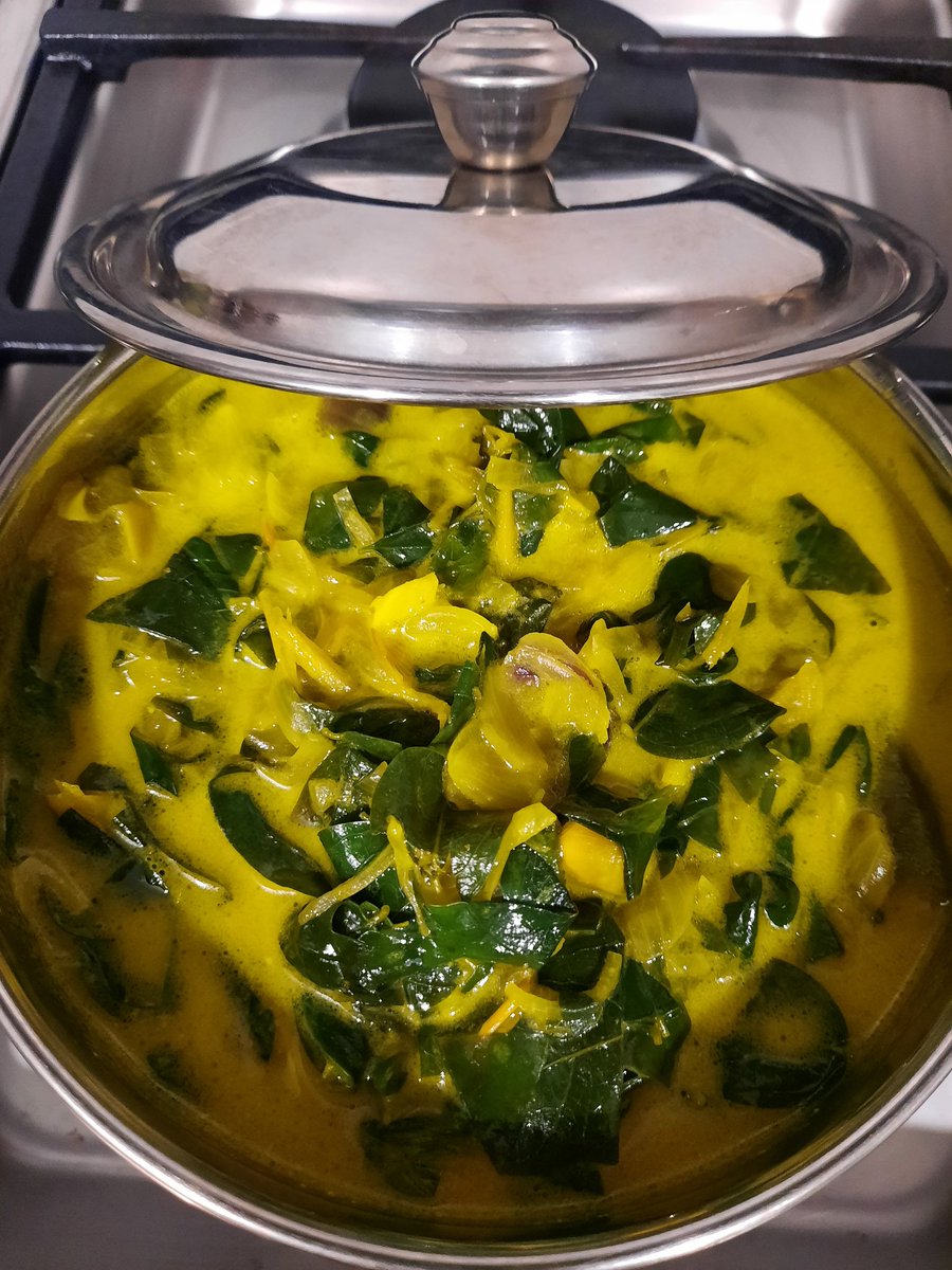 aida_a222's tweet photo. It's been a while since I cooked Pucuk Manis Masak Lemak Cili. Paired this with leftover Tenggiri Sambal, and let's just say it was bloody awesome. #happycamper #Malayfoodathome  #Mondaygoodness https://t.co/9UbRac8FUI