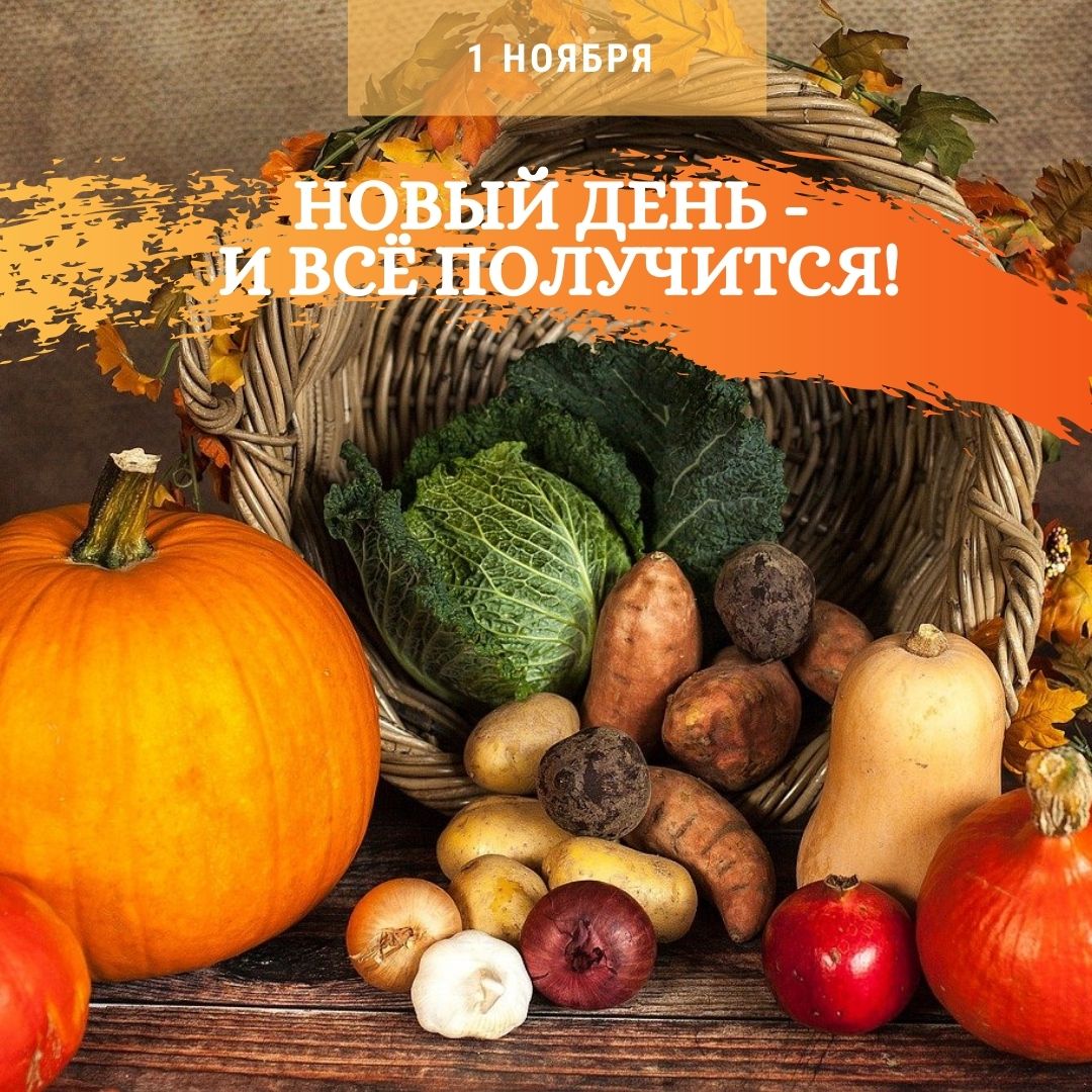 С началом ноября! У вас всё получится!

#7jaby
